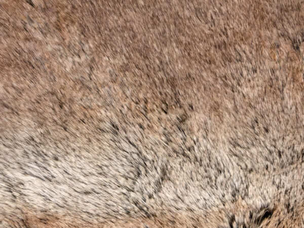 Linea fur deluxe